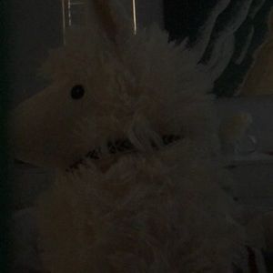 Meet your Posher, Pascale